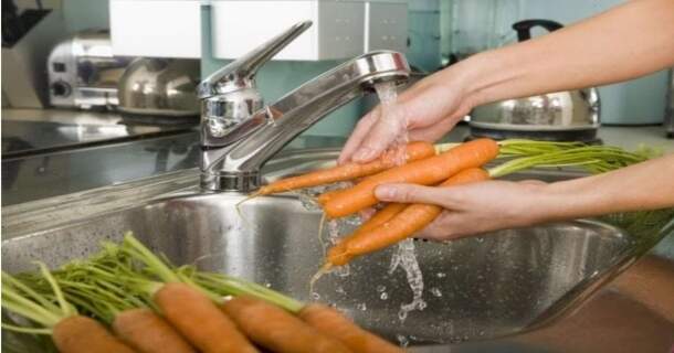 Processamento de Frutas, Verduras e Legumes 