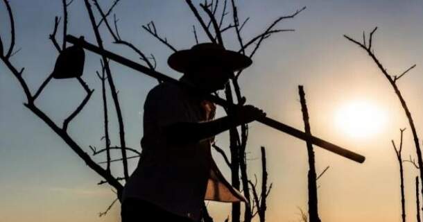 Conflitos Agrários e Demandas do Sistema Interamericano de Direitos Humanos ao Brasil 