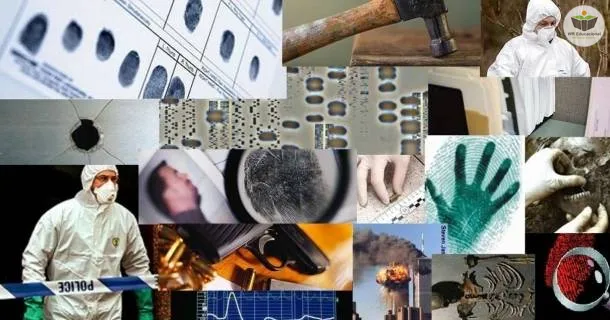 WR Educacional Cursos Gratuitos Com Certificado Válido