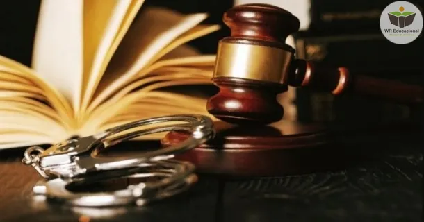 noções de direito processual penal
