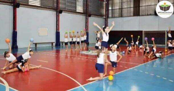 A Importância da Ginástica Enquanto Conteúdo da Educação Física Escolar 