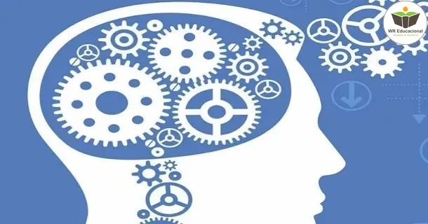 WR Educacional Cursos Gratuitos Com Certificado Válido