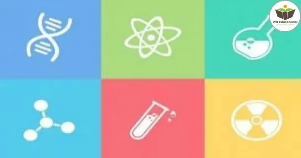 WR Educacional Cursos Gratuitos Com Certificado Válido