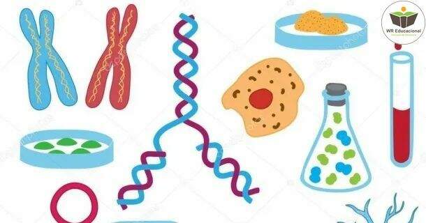 Biologia do Ensino Médio 