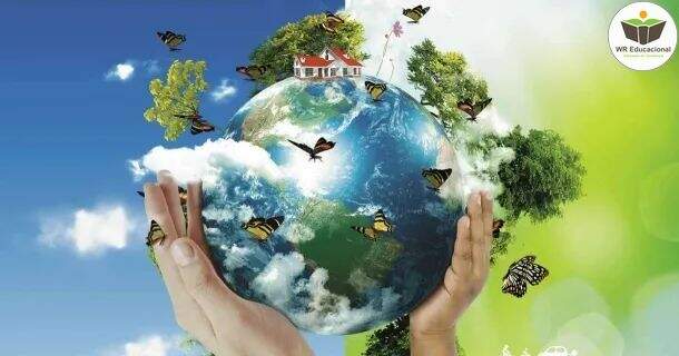Meio Ambiente da Inteligência a Peculiaridade nas Crianças 