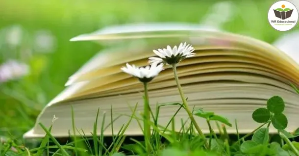 WR Educacional Cursos Gratuitos Com Certificado Válido