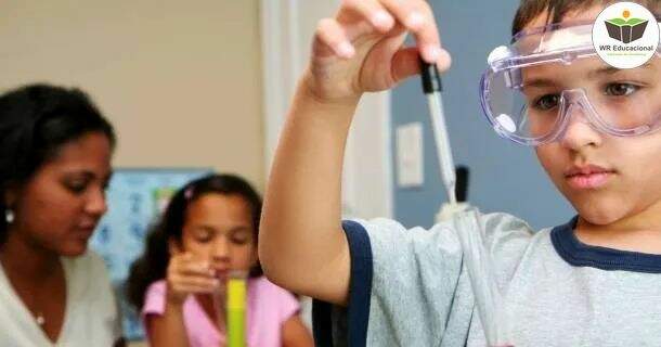 Ensinando Ciências para o Ensino Fundamental 