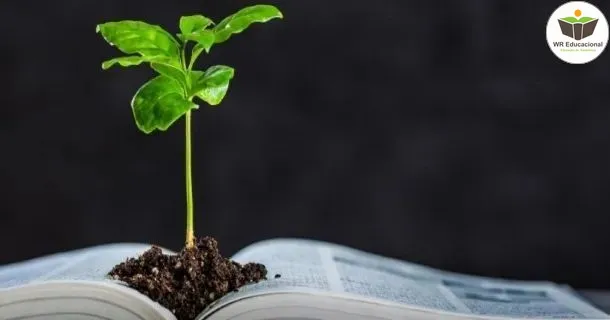 WR Educacional Cursos Gratuitos Com Certificado Válido