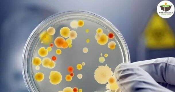 Microbiologia e Imunologia 