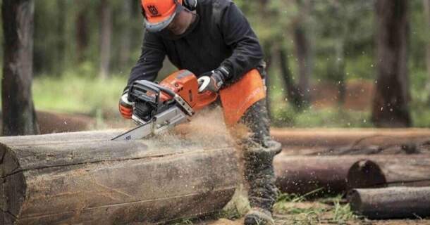 Avaliação de Segurança do Trabalho de Operadores de Motosserra 