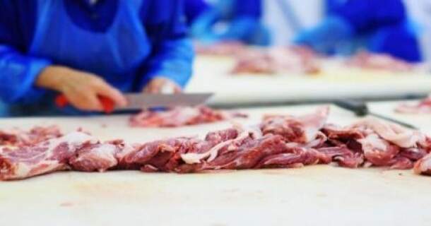 básico de abate e processamento de carnes e derivados