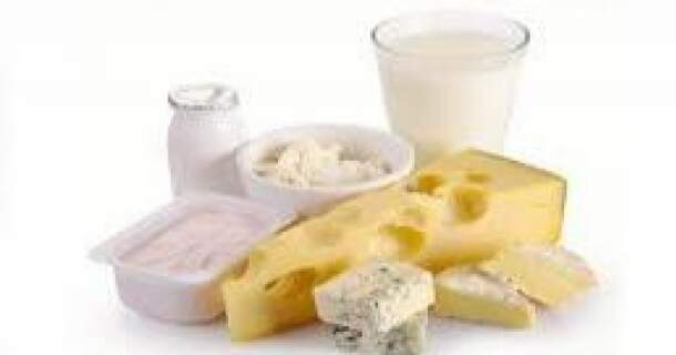 noções básicas do leite e seus derivados