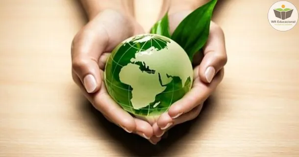 Curso Online Grátis de Gestão ambiental e sustentabilidade