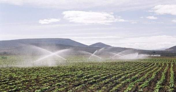 impactos ambientais da agricultura irrigada