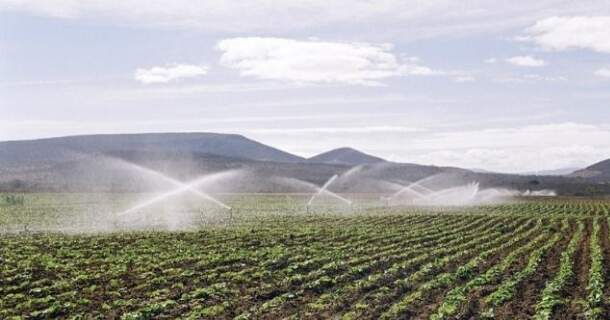 Impactos Ambientais da Agricultura Irrigada 