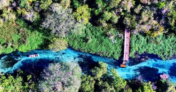 Iniciação ao Eco Turismo 