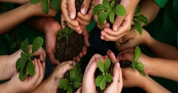 Introdução em Educação Ambiental 