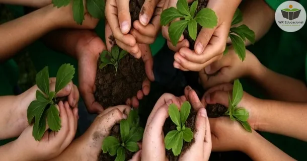 introdução em educação ambiental