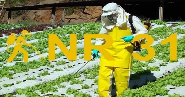 NR 31 - Segurança e Saúde no Trabalho na Agricultura, Pecuária Silvicultura, Exploração Florestal e Aquicultura 