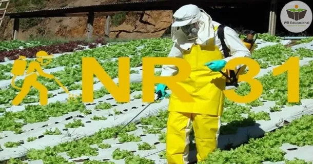 Curso Grátis Online de NR 31 - Segurança e Saúde no Trabalho na Agricultura, Pecuária Silvicultura, Exploração Florestal e Aquicultura Com Certificado