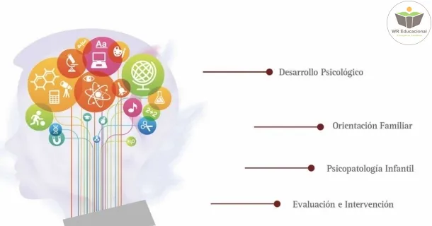 WR Educacional Cursos Gratuitos Com Certificado Válido