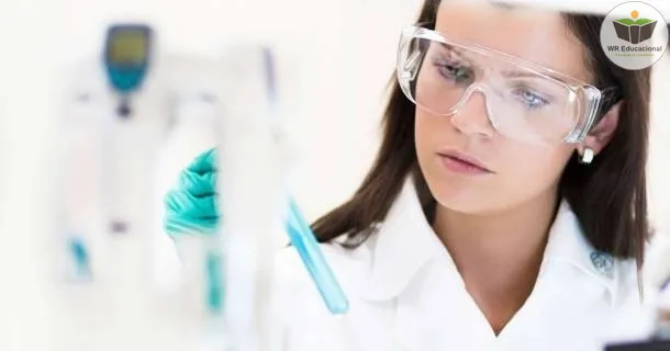 WR Educacional Cursos Gratuitos Com Certificado Válido