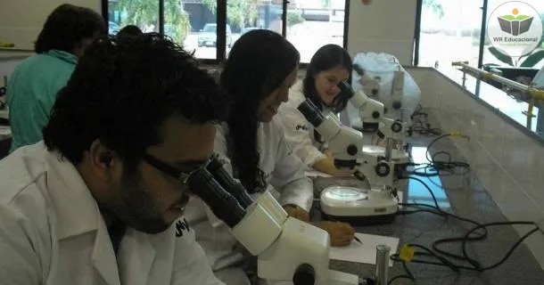 WR Educacional Cursos Gratuitos Com Certificado Válido