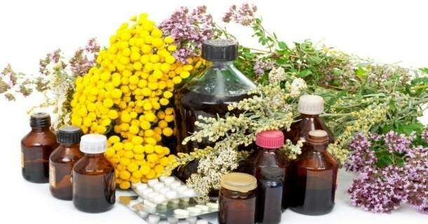 noções básicas do cultivo e uso de plantas medicinais