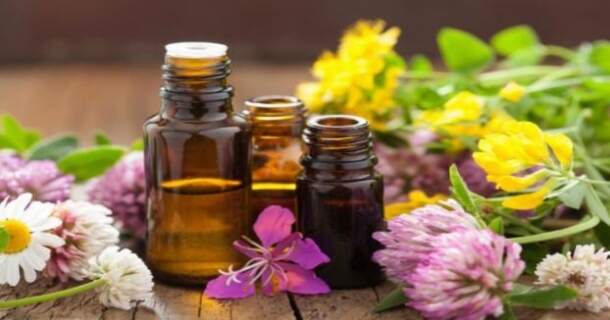 Noções Básicas em Essências Florais 