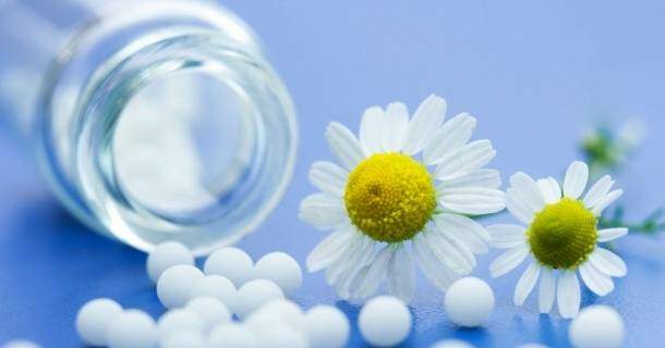 Noções Básicas em Homeopatia ii 