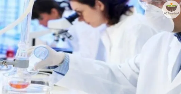 WR Educacional Cursos Gratuitos Com Certificado Válido