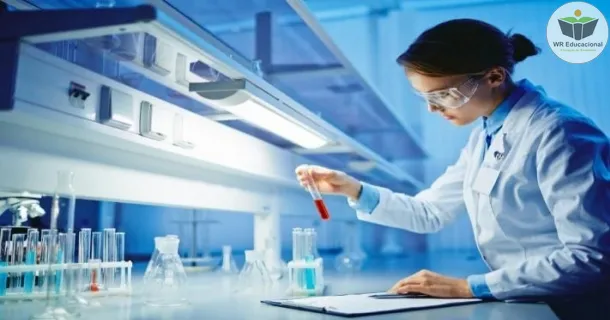 WR Educacional Cursos Gratuitos Com Certificado Válido