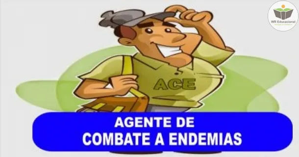 WR Educacional Cursos Gratuitos Com Certificado Válido