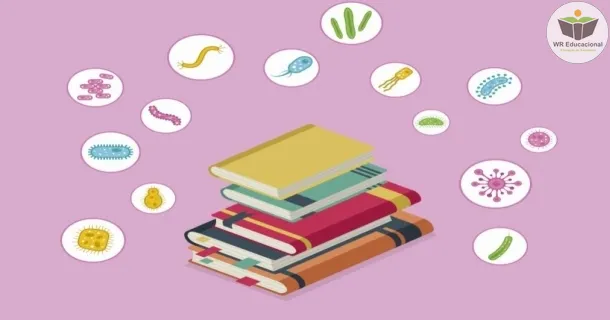 WR Educacional Cursos Gratuitos Com Certificado Válido