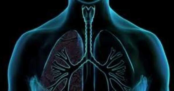 noções básicas sobre sistema respiratório