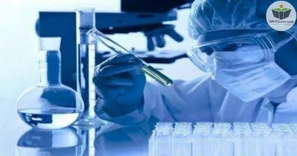 WR Educacional Cursos Gratuitos Com Certificado Válido