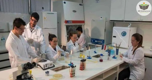 WR Educacional Cursos Gratuitos Com Certificado Válido