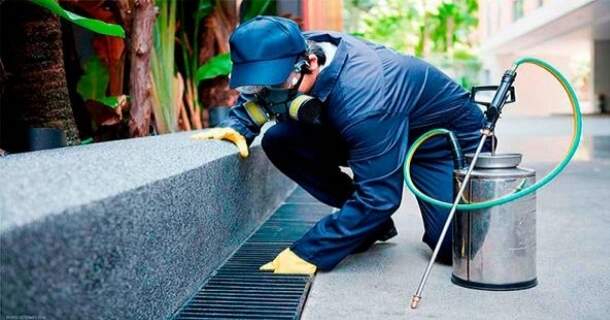 Medidas Preventivas para Controle de Pragas Urbanas 