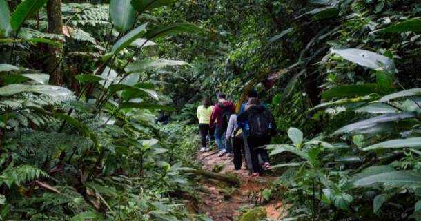 Ecoturismo e seu Impacto no Meio Ambiente 